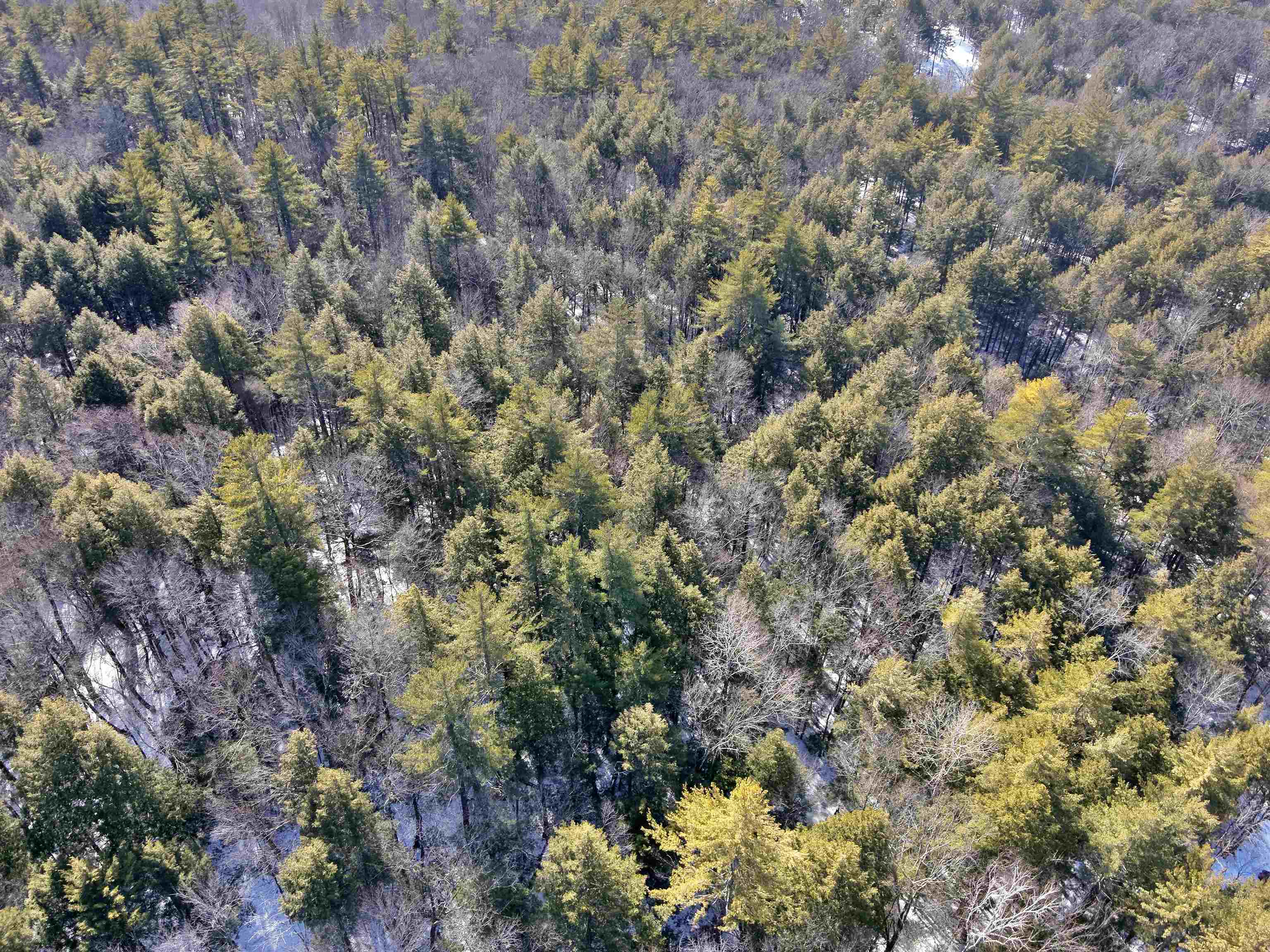 0 Old Ledge Road, Unit 1 Putney, VT 05346 - Photo 10 of 14