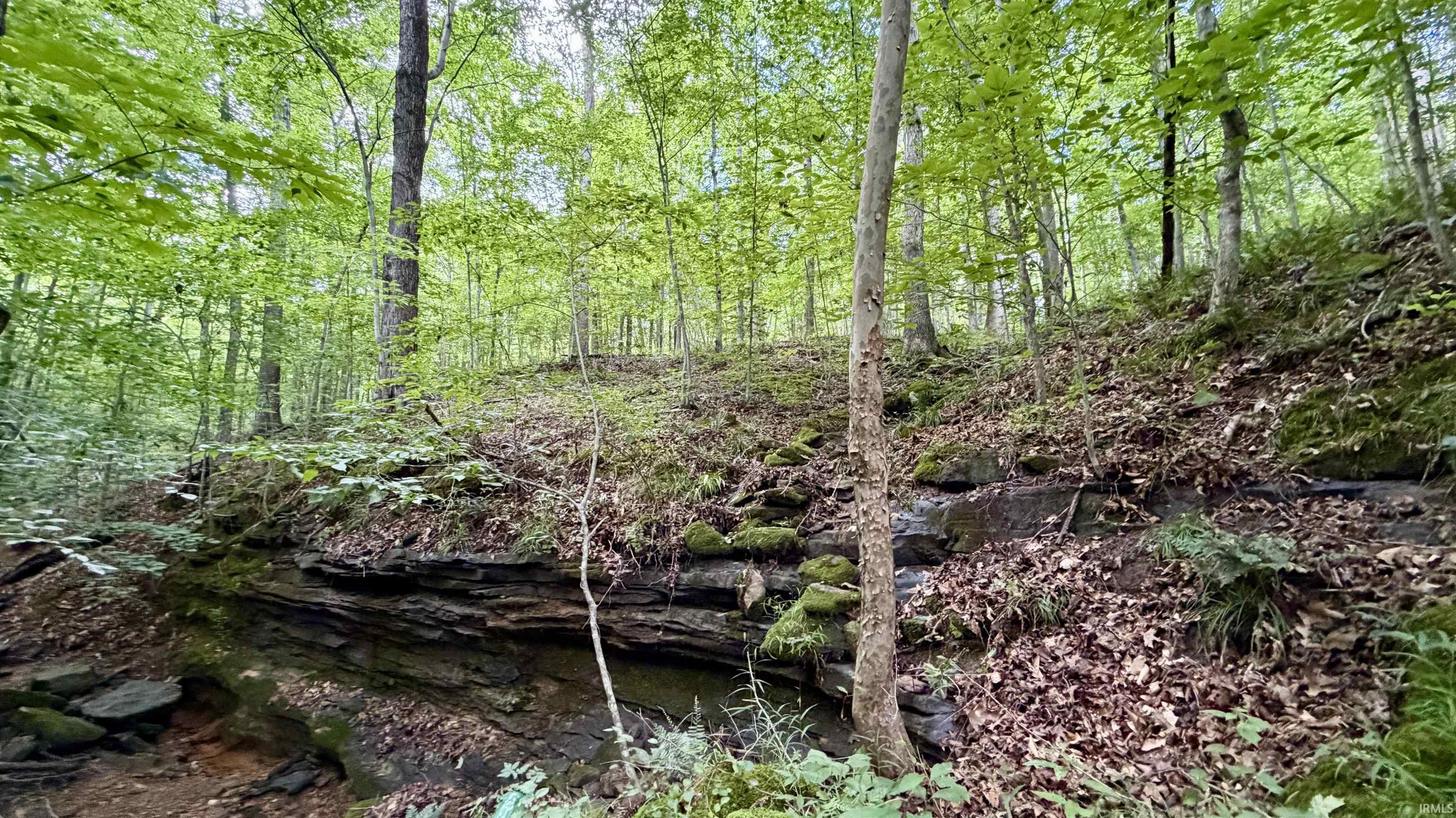 64 State Road English, IN 47118 - Photo 17 of 27