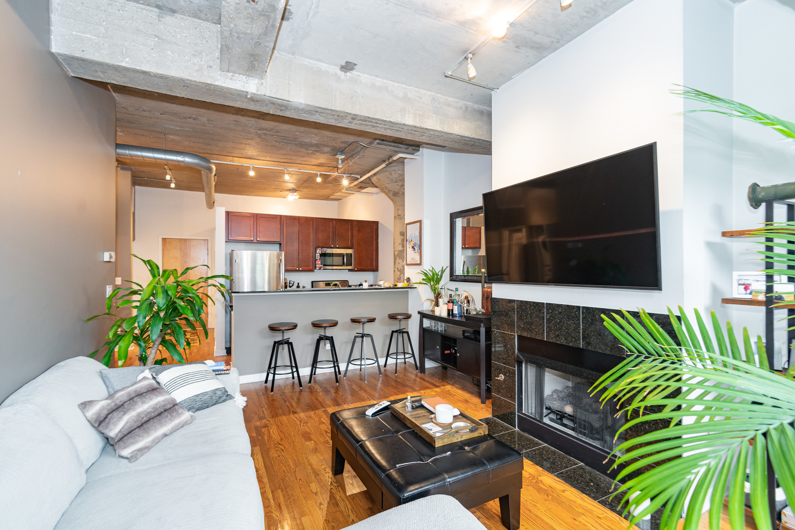 1069 West 14th Place, Unit 305 Chicago, IL 60608 - Photo 5 of 26 a living room with furniture and a flat screen tv