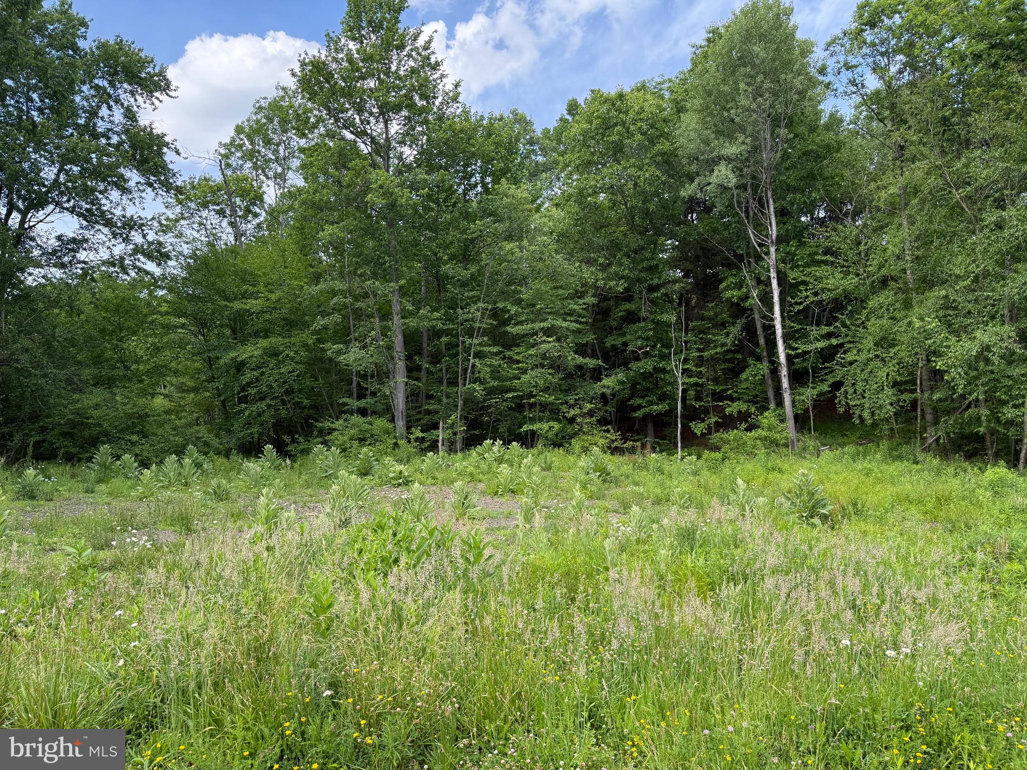 0 Frog Hollow Road Philipsburg, PA 16866 - Photo 1 of 8
