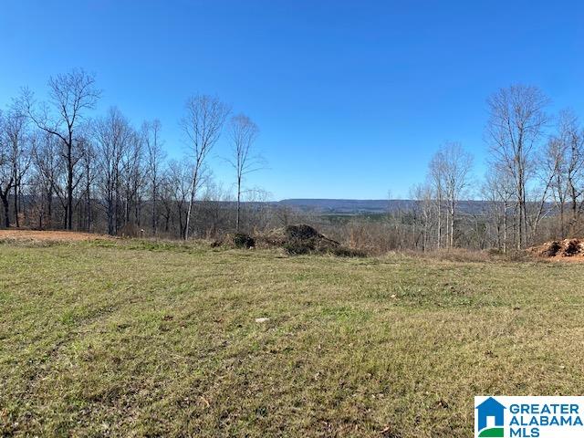 414 Stone Ridge, Unit 5 AND 6 Springville, AL 35146 - Photo 11 of 20