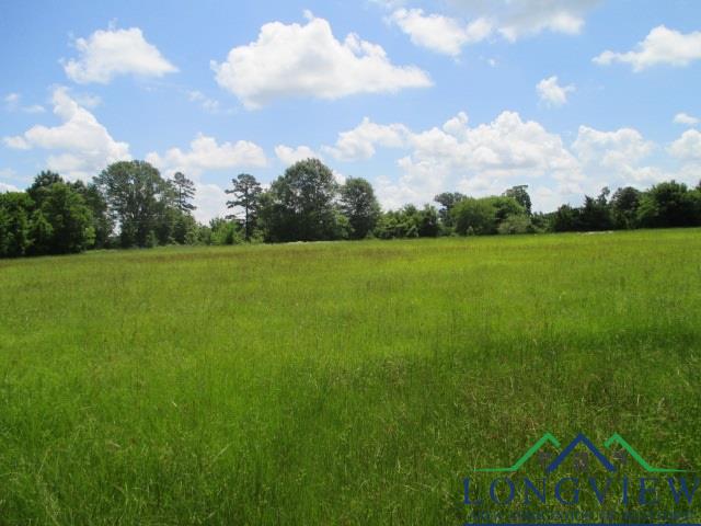 164 County Road Long Branch, TX 75669 - Photo 1 of 1 Gallery Image 1