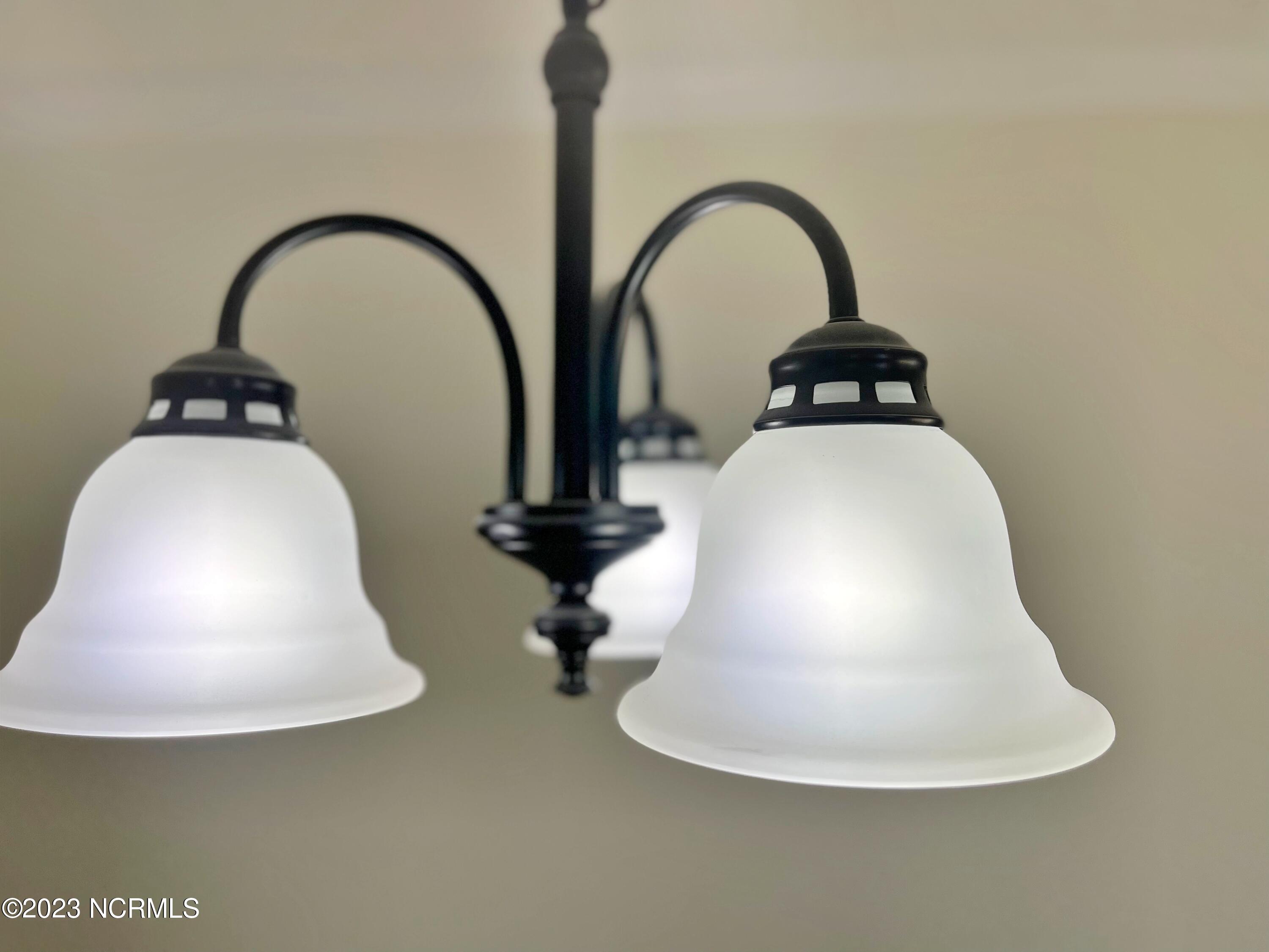 552 Deer Run Road New Bern, NC 28562 - Photo 24 of 59 NEW LIGHTING
