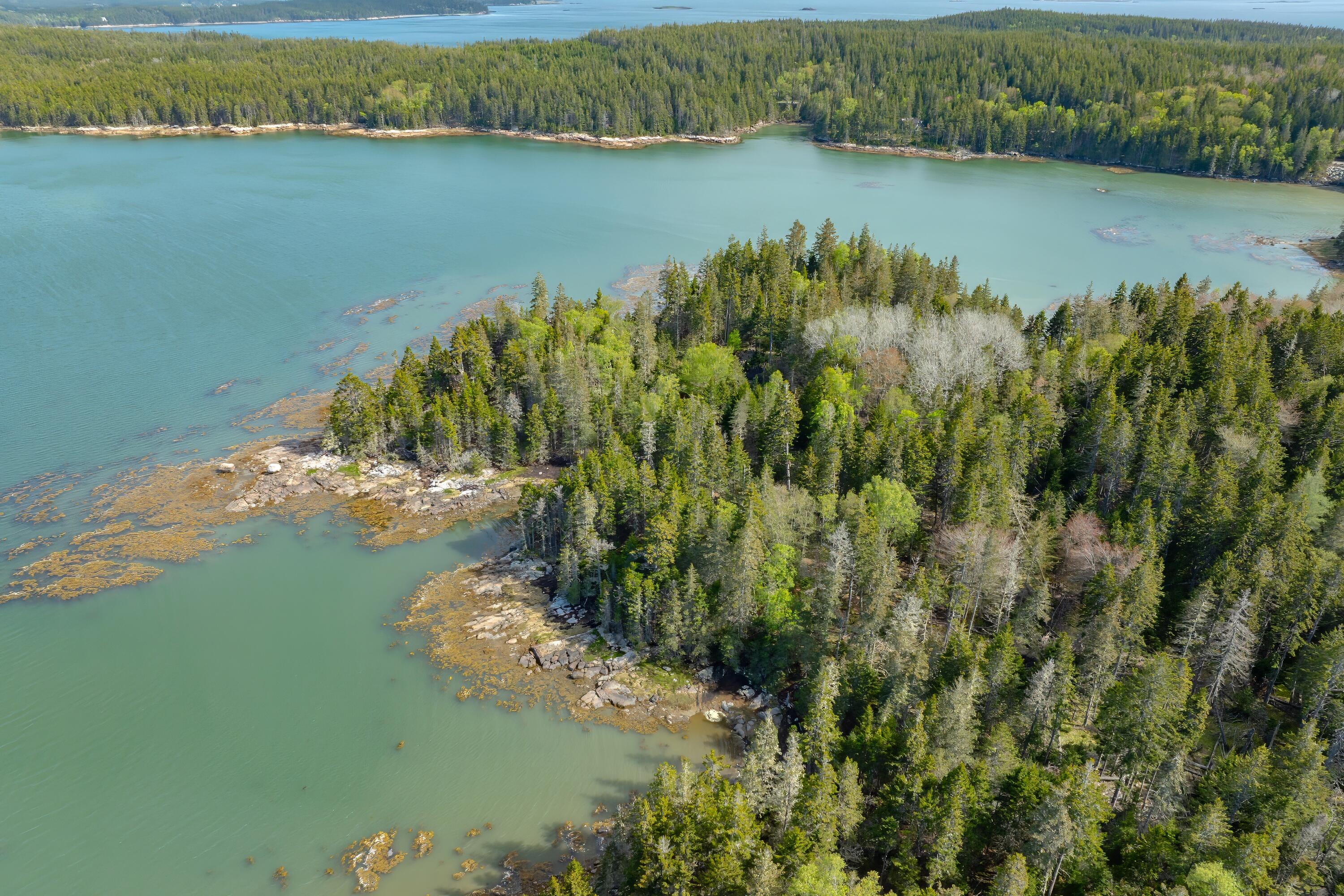 1 Part Of Map Road Swans Island, ME 04685 - Photo 21 of 32 20-Seal Cove off Jericho Land-DTP