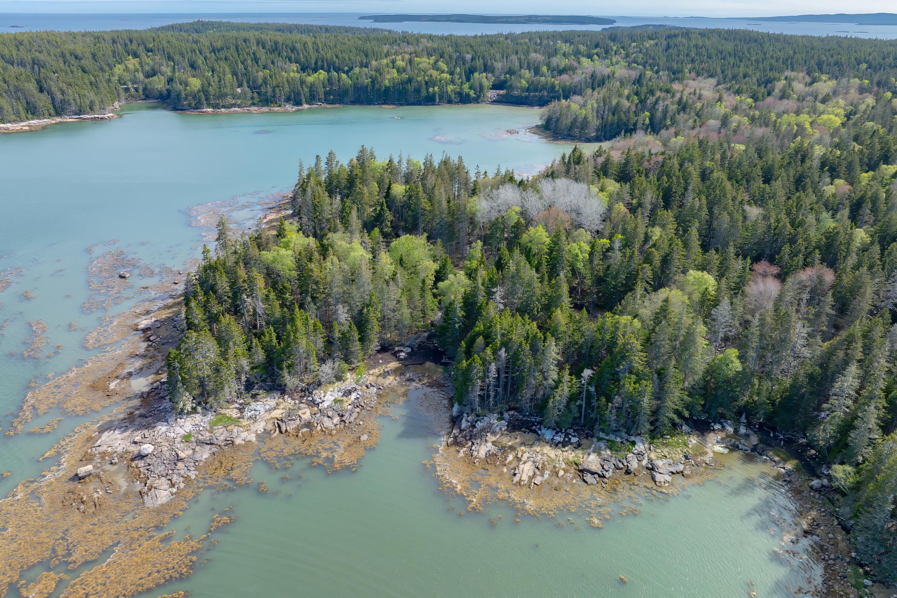 1 Part Of Map Road Swans Island, ME 04685 - Photo 22 of 32 21-Seal Cove off Jericho Land-DTP