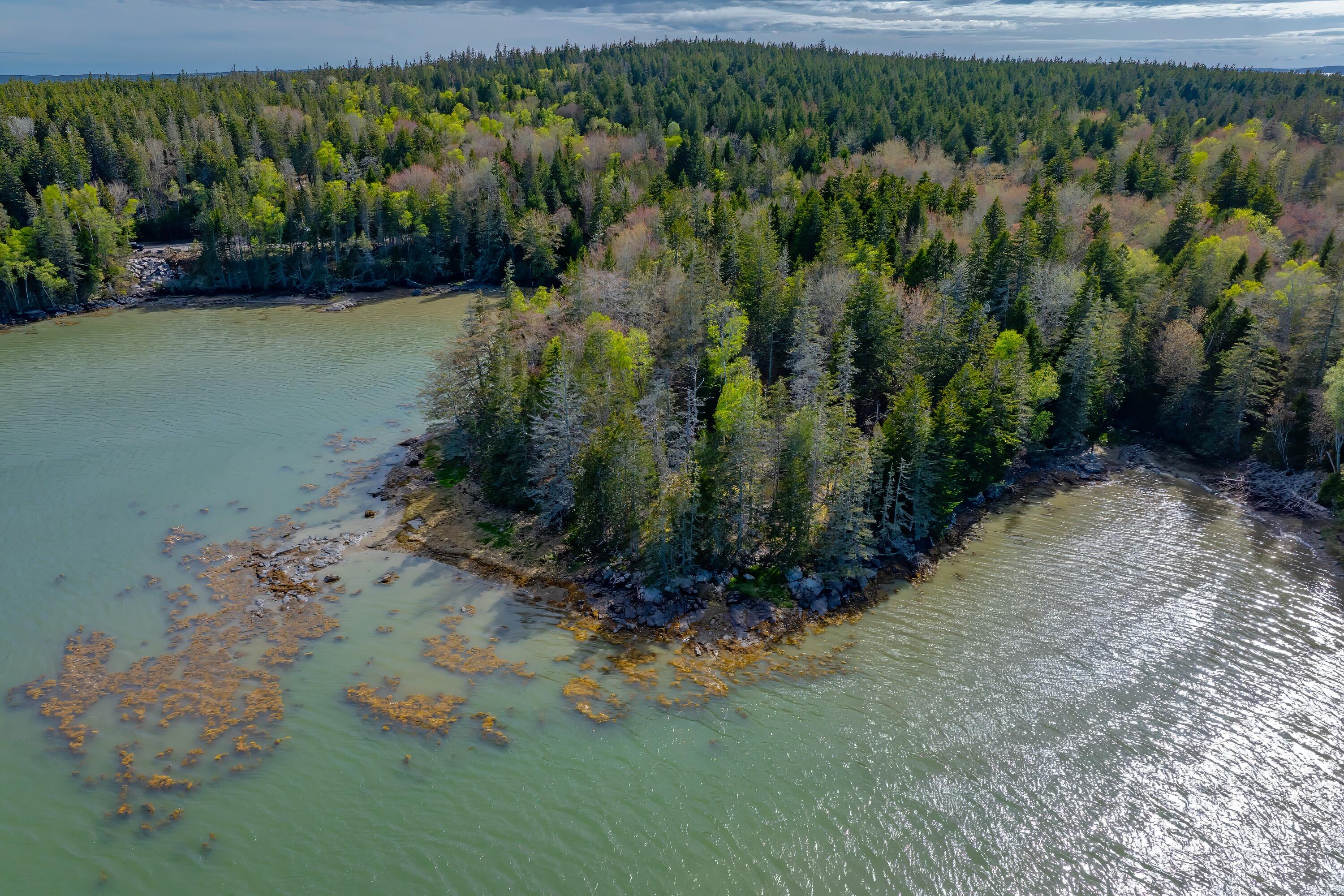 1 Part Of Map Road Swans Island, ME 04685 - Photo 26 of 32 28-Seal Cove off Jericho Land-DTP