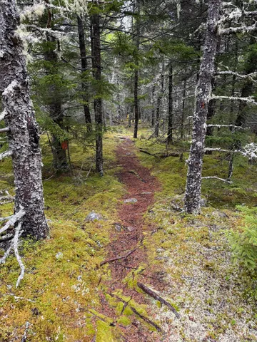 $695,000 | 1 Part Of Map Road, Swans Island, ME 04685