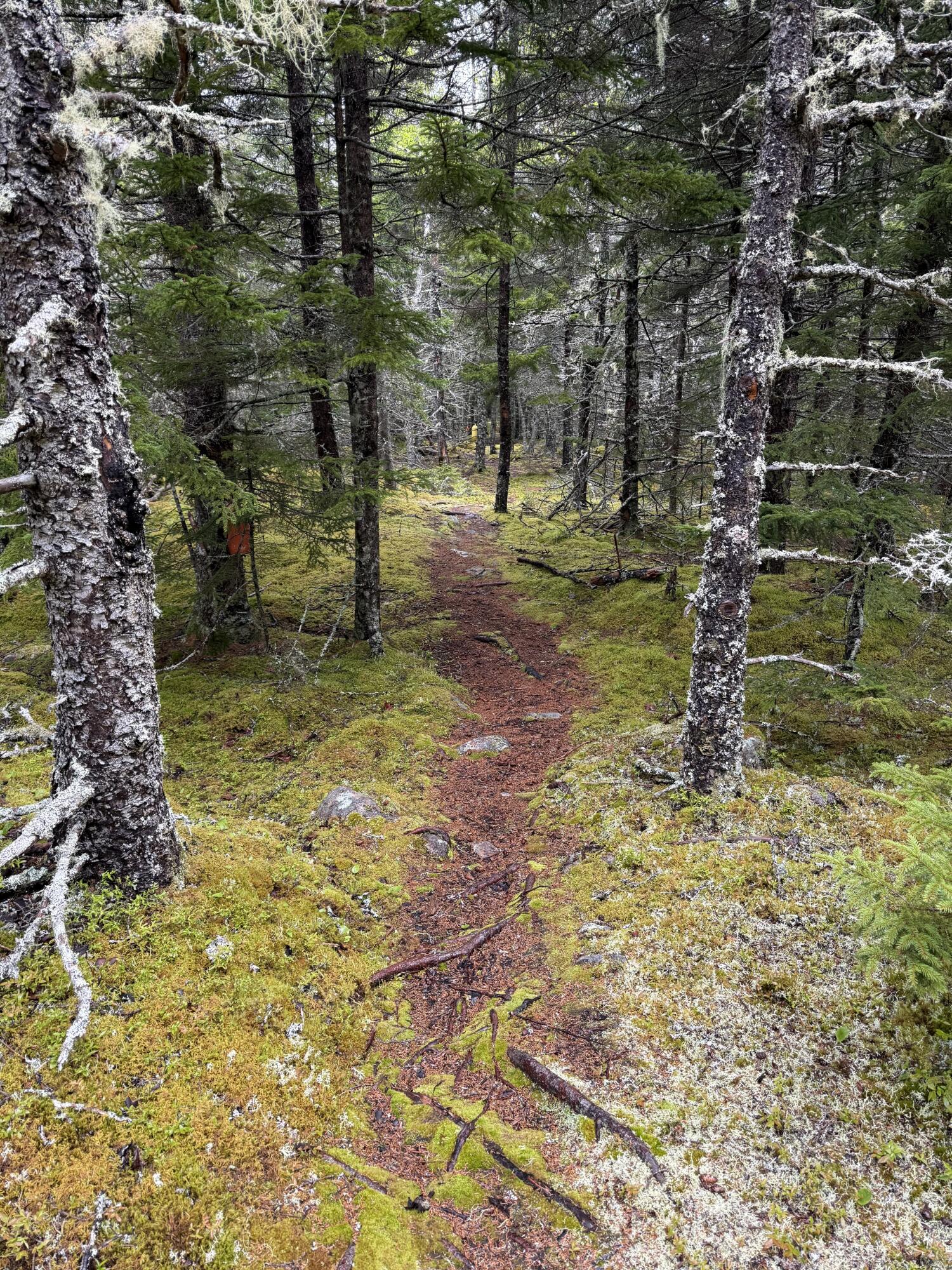 1 Part Of Map Road Swans Island, ME 04685 - Photo 29 of 32 trail to secret beach