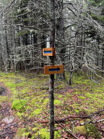 $695,000 | 1 Part Of Map Road, Swans Island, ME 04685