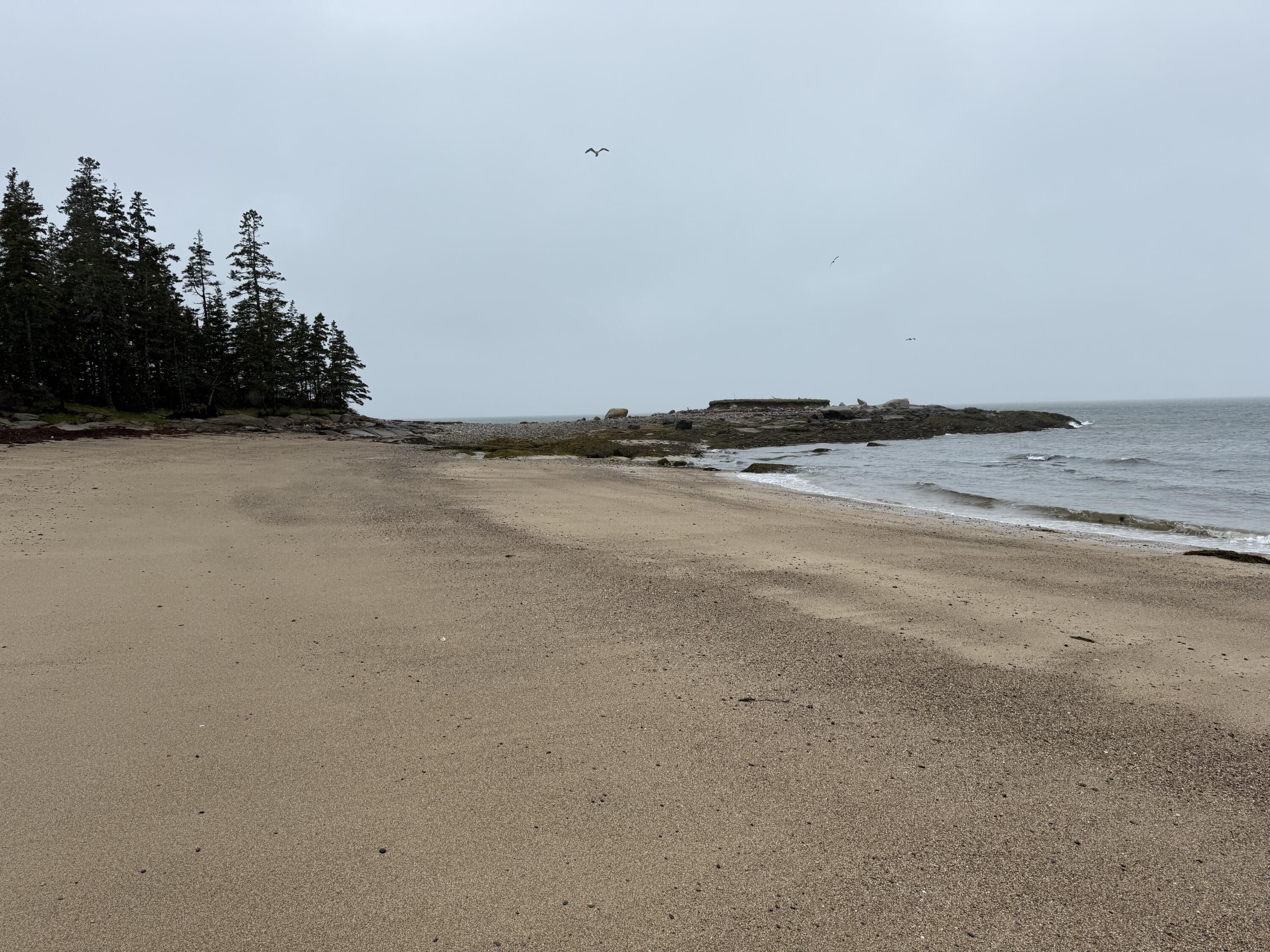 1 Part Of Map Road Swans Island, ME 04685 - Photo 32 of 32 secret beach 2