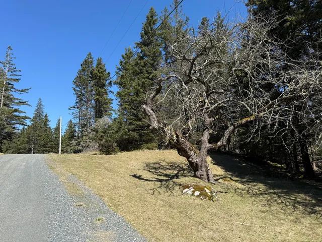 $695,000 | 1 Part Of Map Road, Swans Island, ME 04685