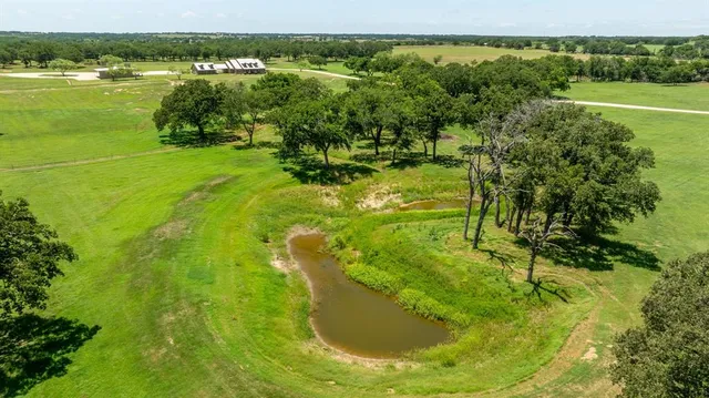a view of a park with large trees