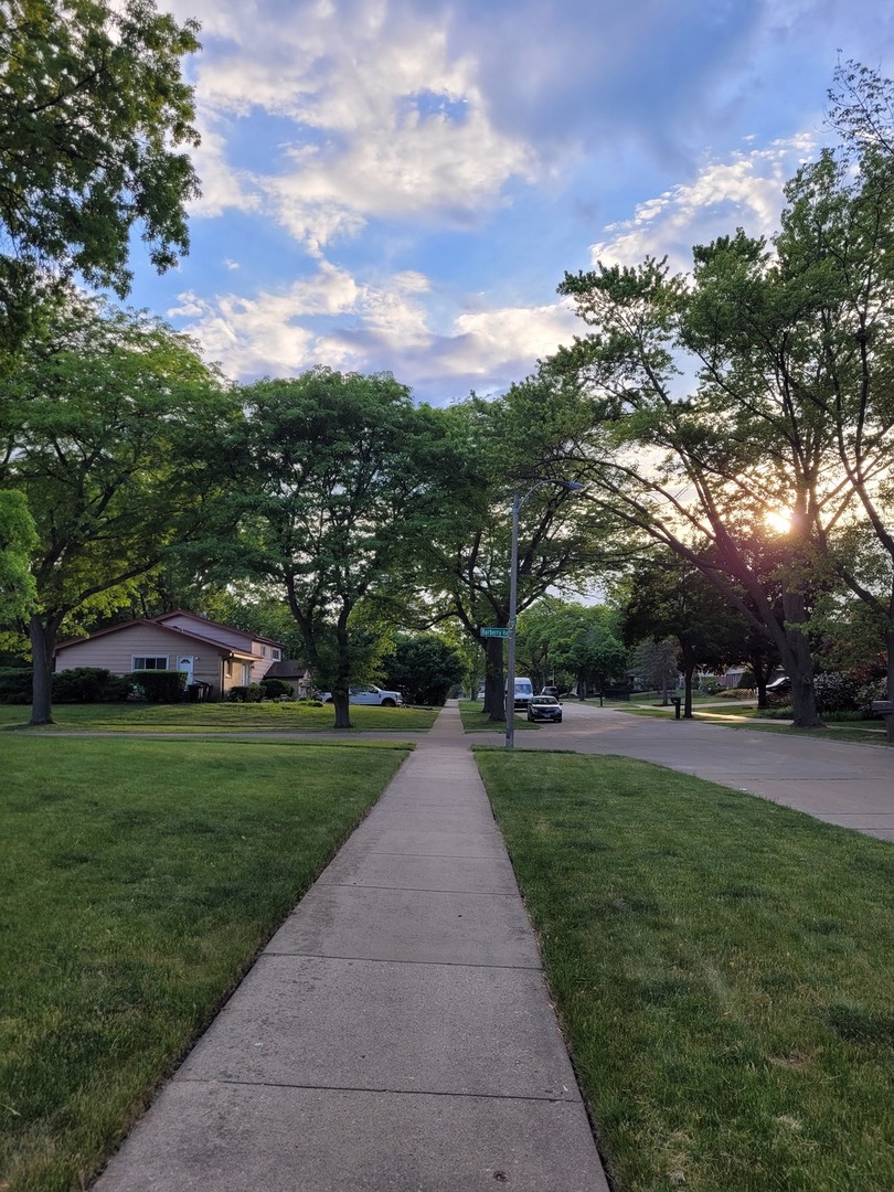 1825 Barberry Road Northbrook, IL 60062 - Photo 24 of 24 a view of a park with large trees