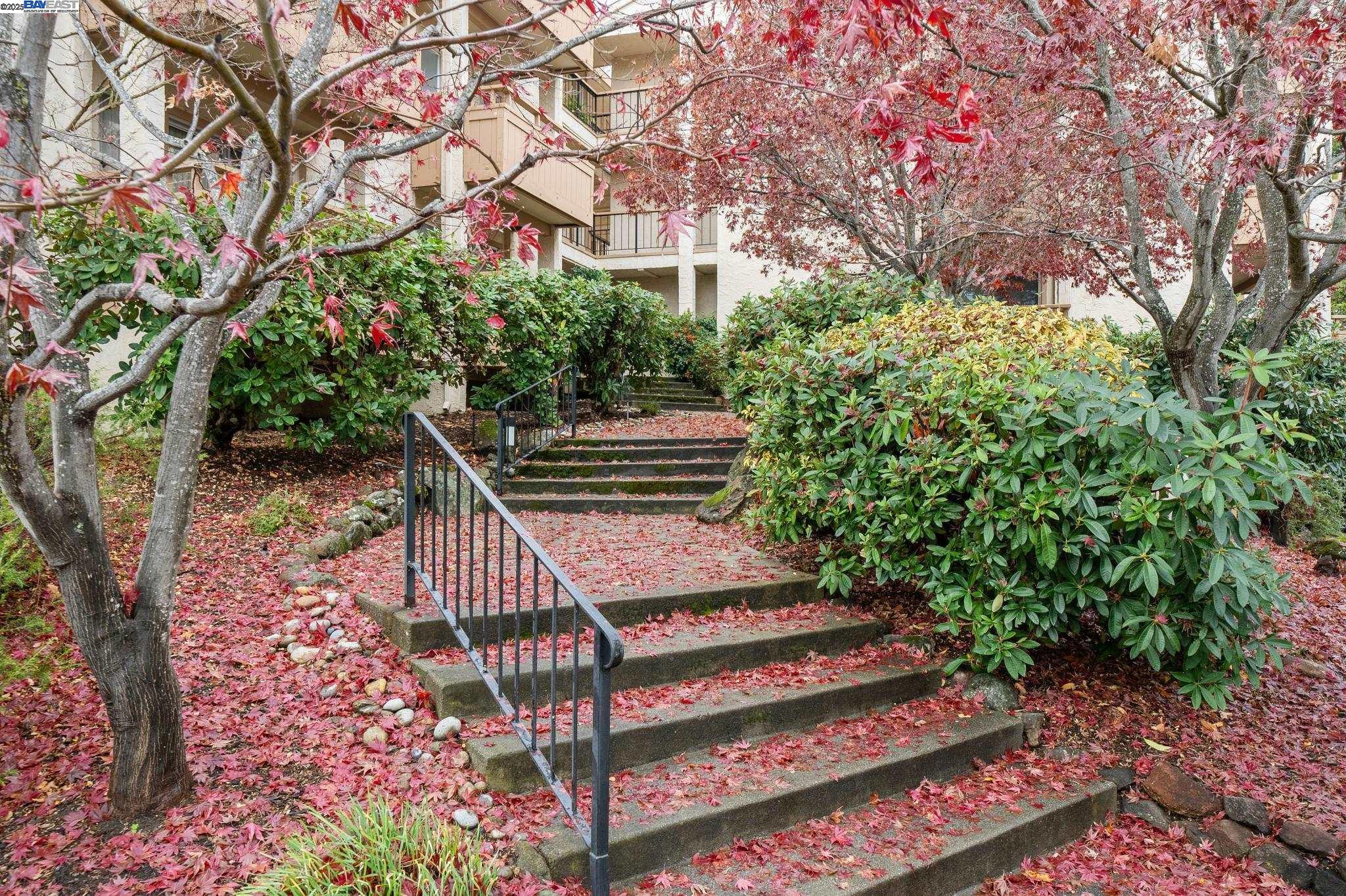 4033 Terra Granada Drive, Unit 5C Walnut Creek, CA 94595 - Photo 40 of 44 a view of a bench in a garden