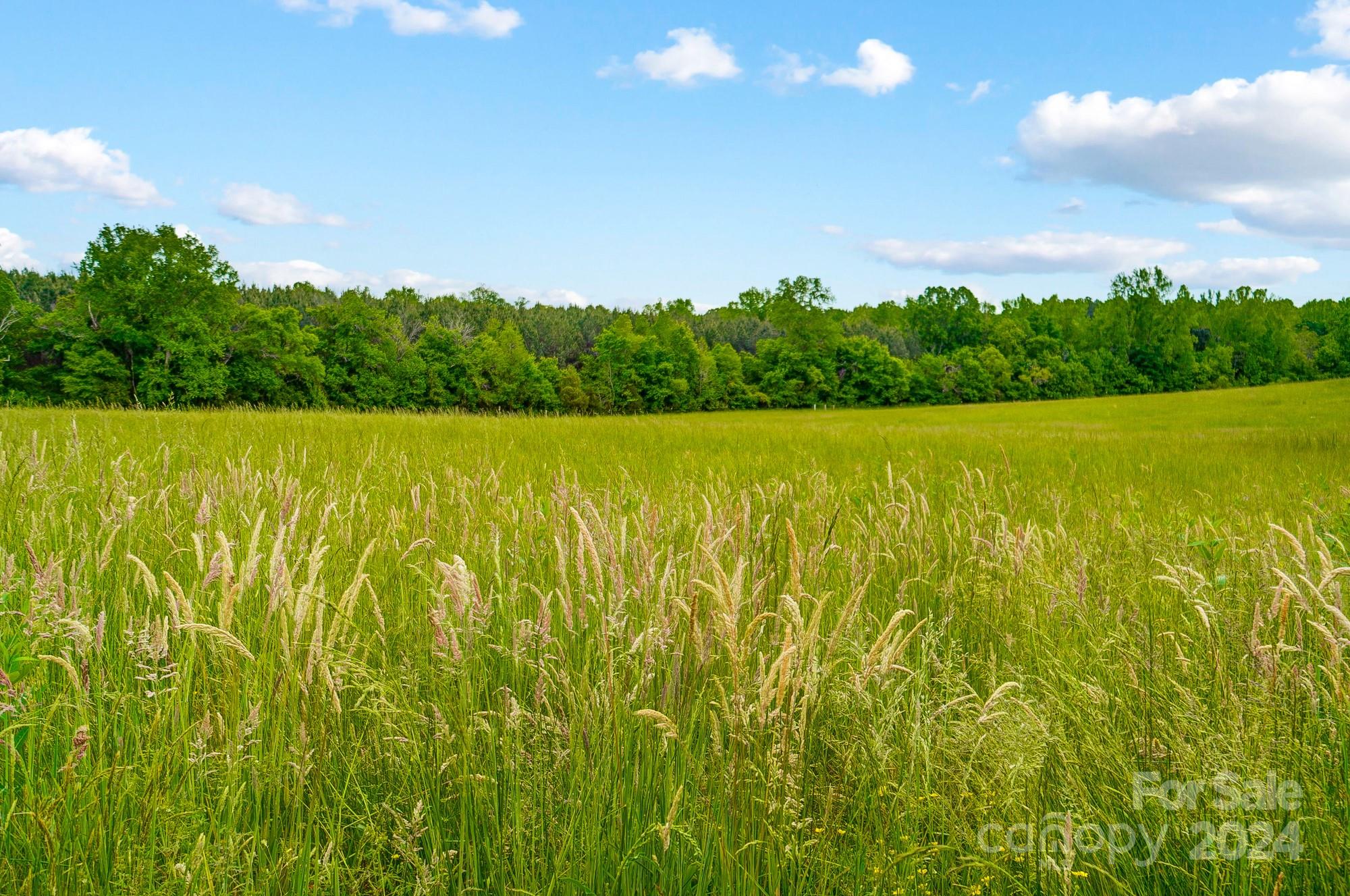 493 Walker Road Mount Pleasant, NC 28124 - Photo 42 of 42 Gallery Image 42