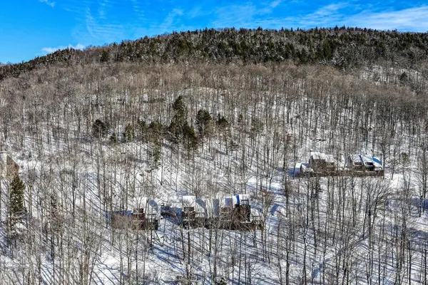 $425,000 | 11 Blueberry Ledge Ridge, Unit L3, Plymouth, VT 05056