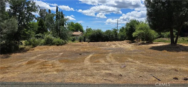 a view of a yard with plants and trees