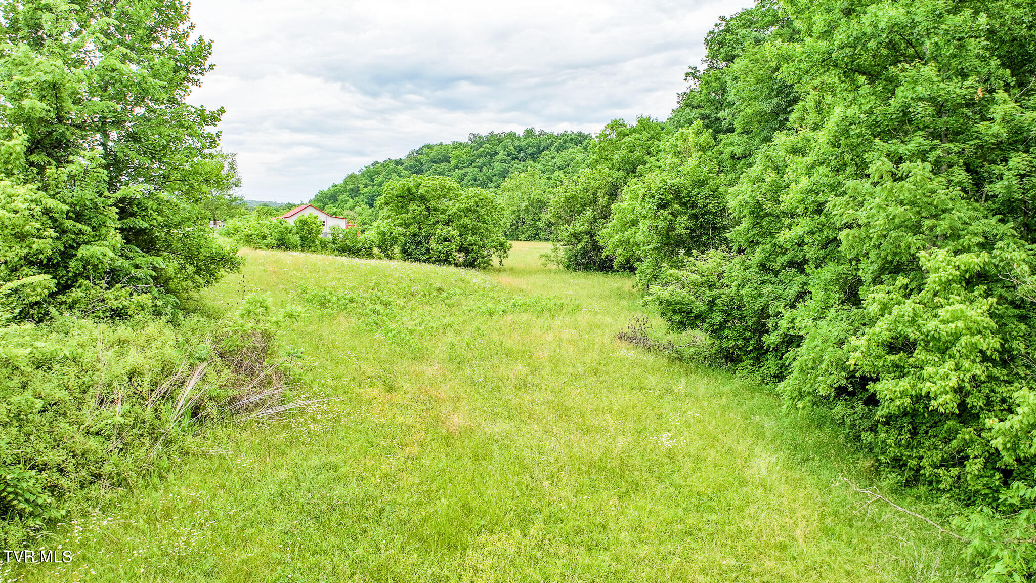 103 Vinson Hollow Road Newport, TN 37821 - Photo 18 of 41 DJI_20260521044138_0105_D
