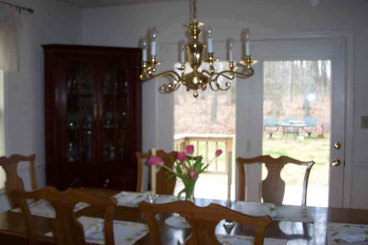 1870 Hamilton Road Louisa, VA 23093 - Photo 2 of 4 a vase of flowers sitting on a table in front of a window