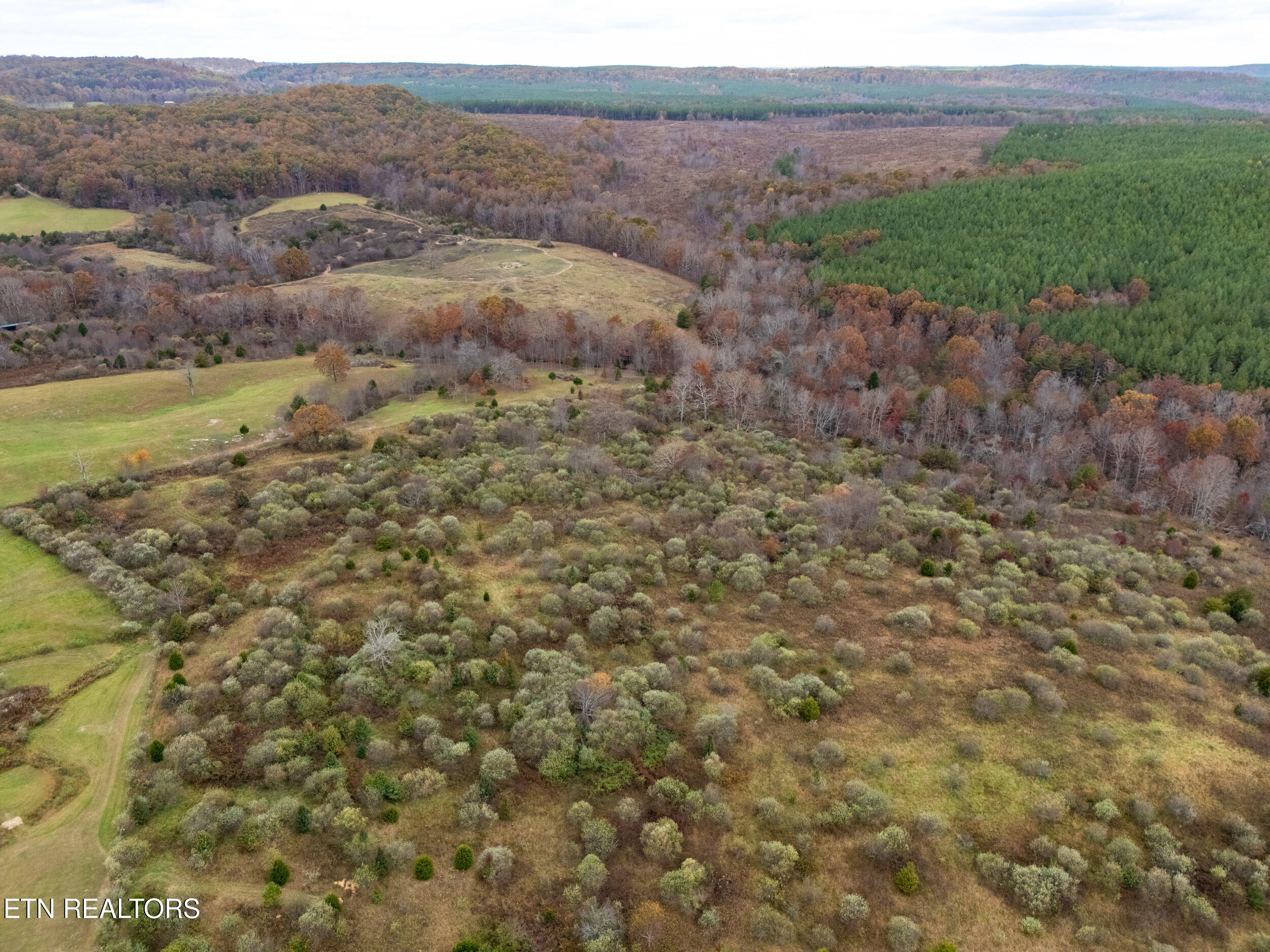12.71-ac Eastland Road Sparta, TN 38583 - Photo 14 of 16 mls-8-2