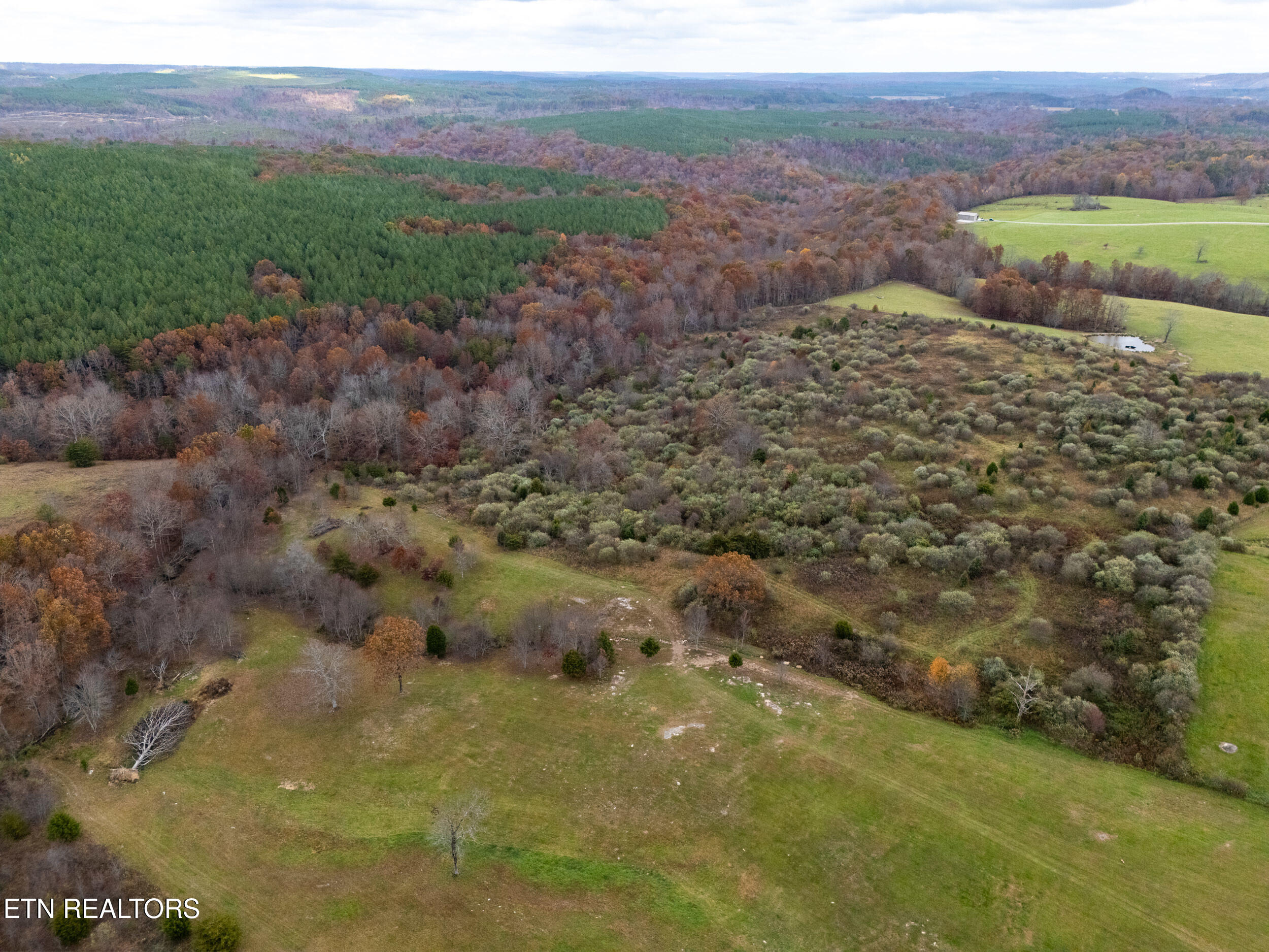 12.71-ac Eastland Road Sparta, TN 38583 - Photo 8 of 16 mls-2-2