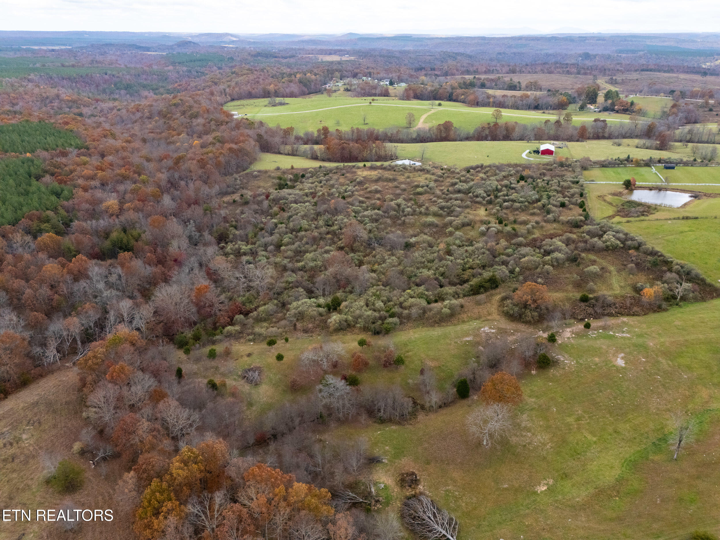 12.71-ac Eastland Road Sparta, TN 38583 - Photo 9 of 16 mls-3-2