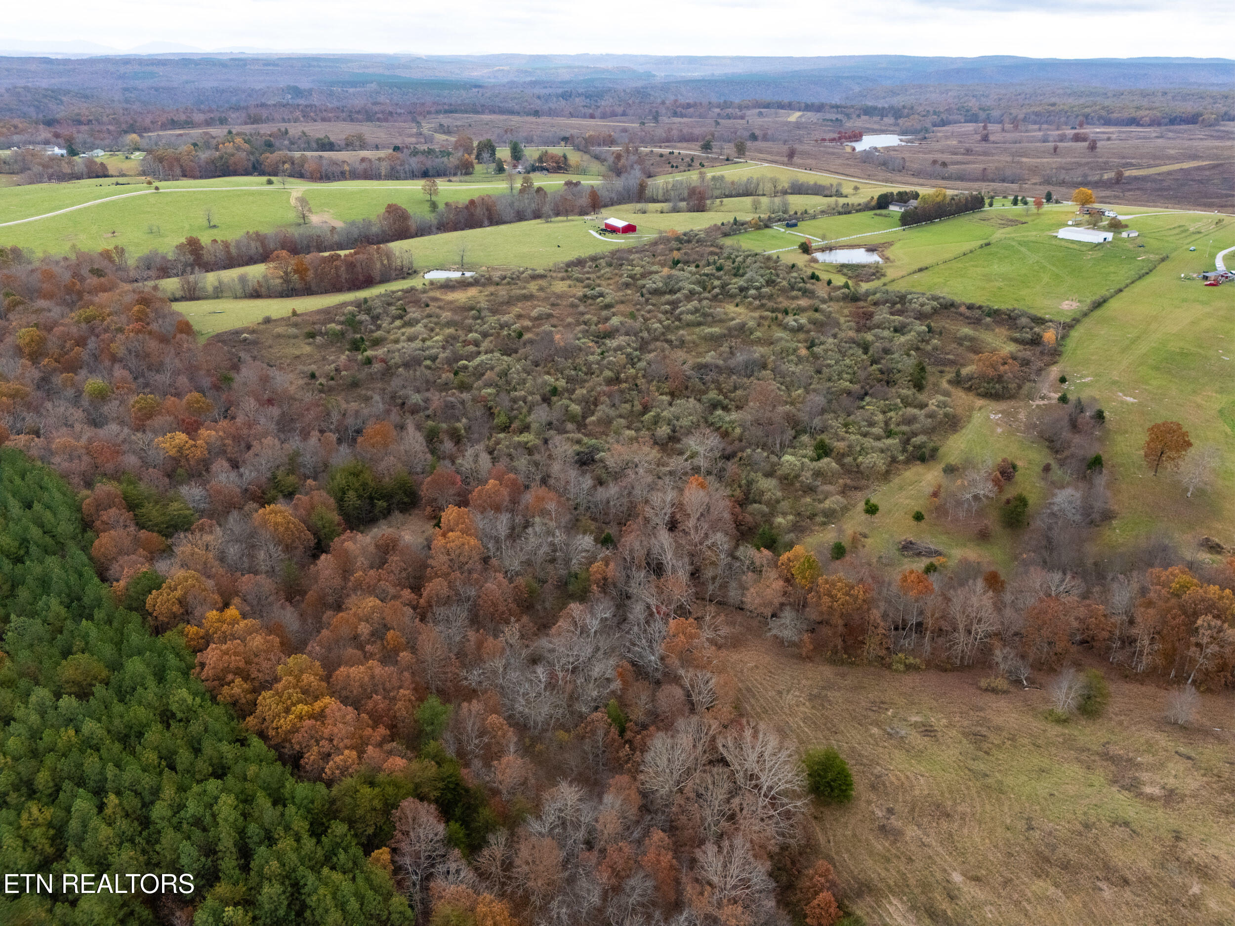 12.71-ac Eastland Road Sparta, TN 38583 - Photo 10 of 16 mls-4-2