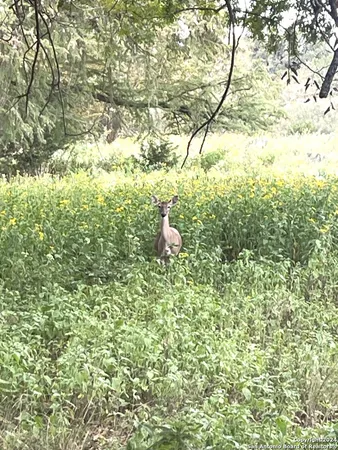 $345,000 | 143 Taff, Leakey, TX 78873