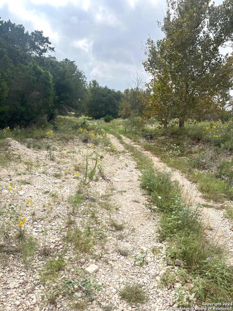 143 Taff Leakey, TX 78873 - Photo 23 of 29 a view of a yard with wooden fence
