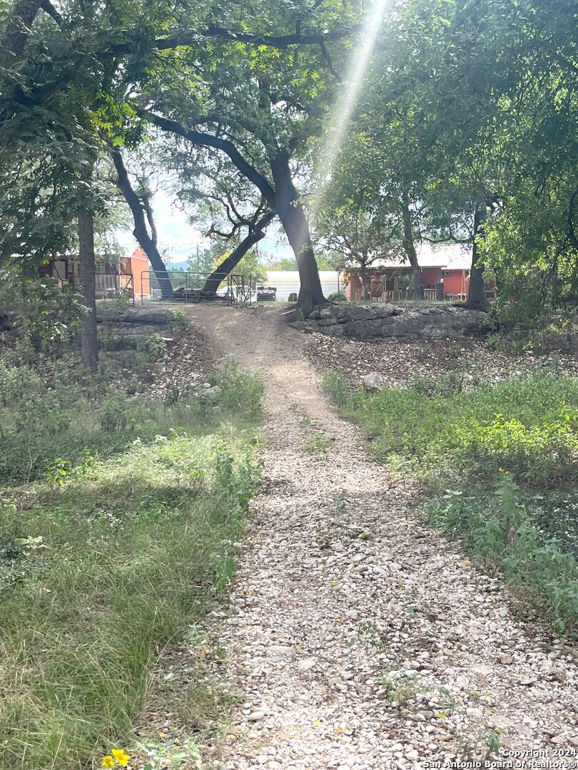 143 Taff Leakey, TX 78873 - Photo 25 of 29 a view of a yard with a tree