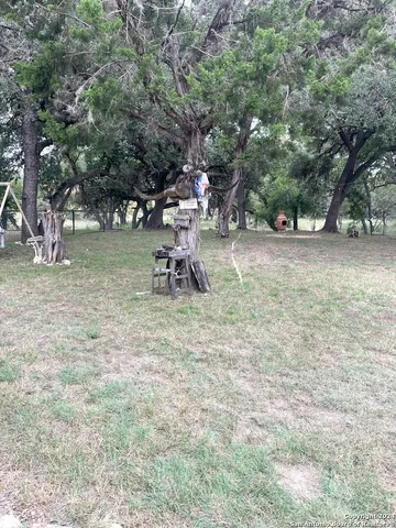 a view of a park with swings and a tree