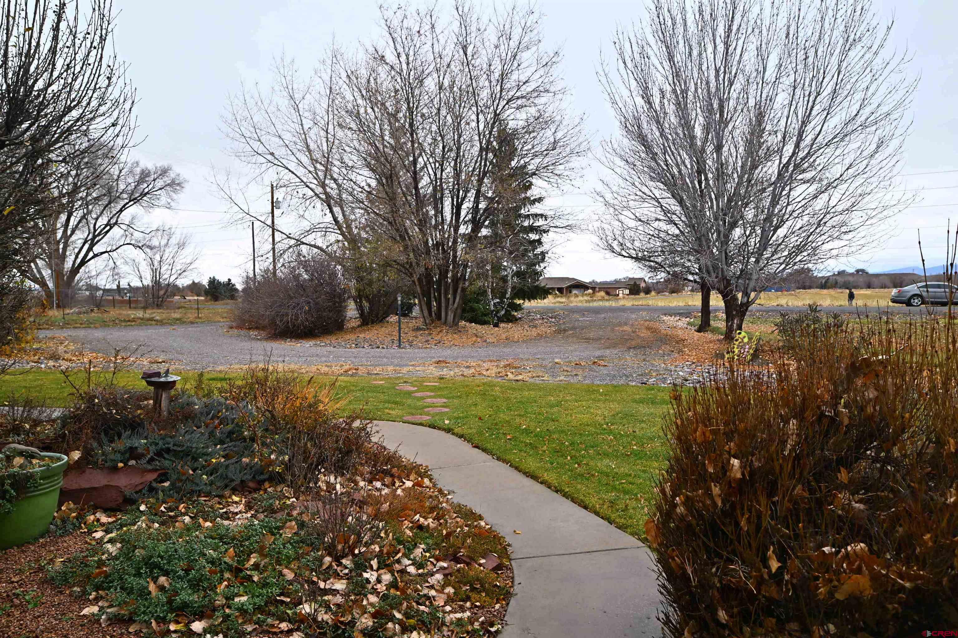 66750 Solar Road Montrose, CO 81403 - Photo 18 of 45 a view of a garden with an trees