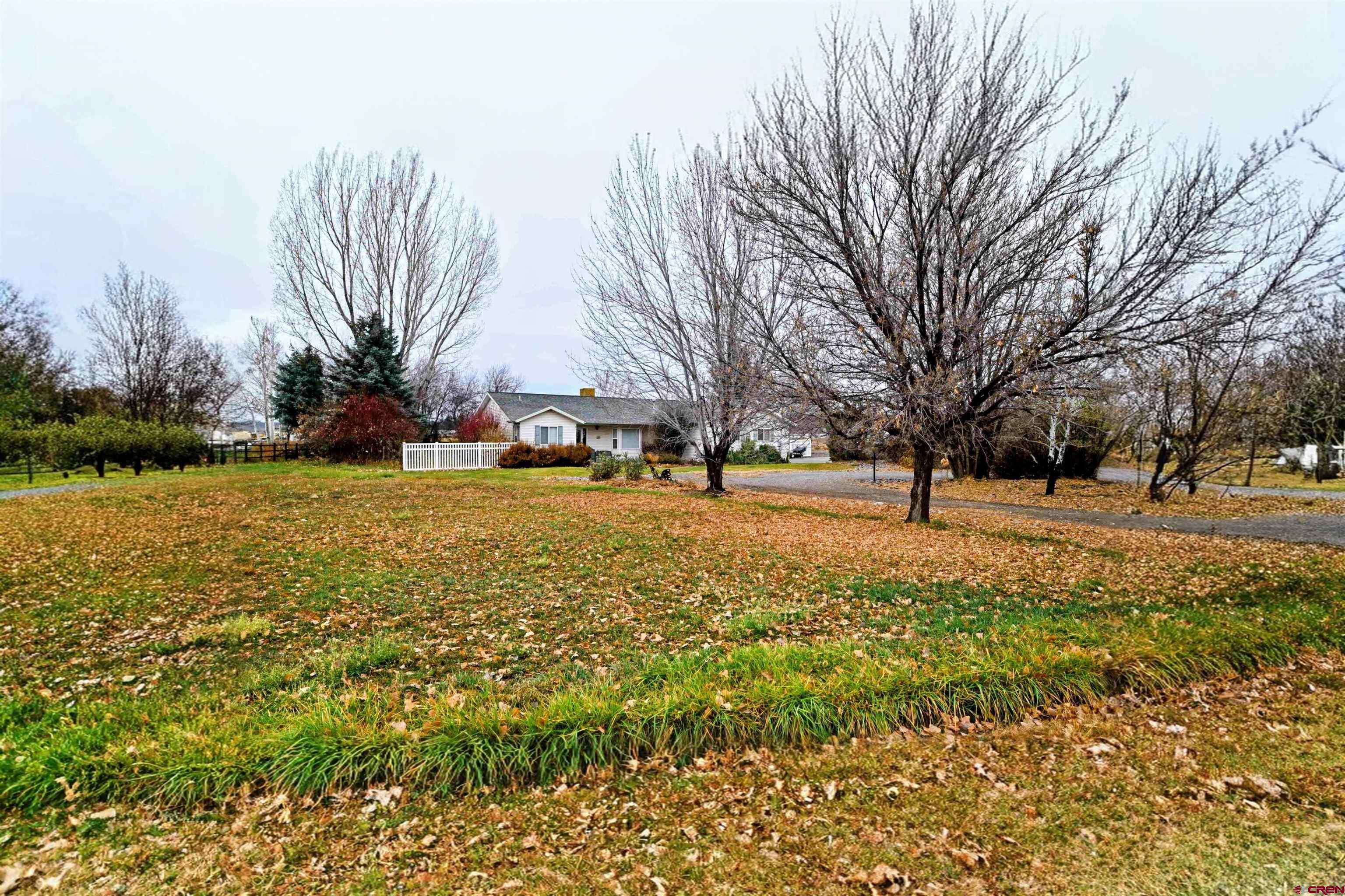 66750 Solar Road Montrose, CO 81403 - Photo 19 of 45