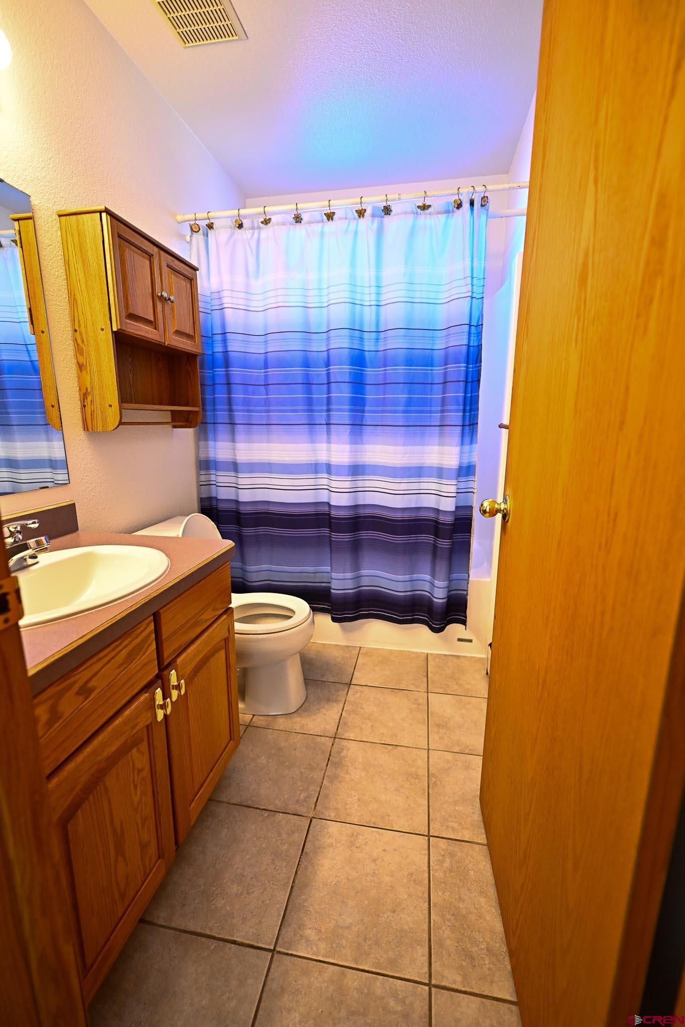 66750 Solar Road Montrose, CO 81403 - Photo 20 of 45 a bathroom with a sink a toilet and shower