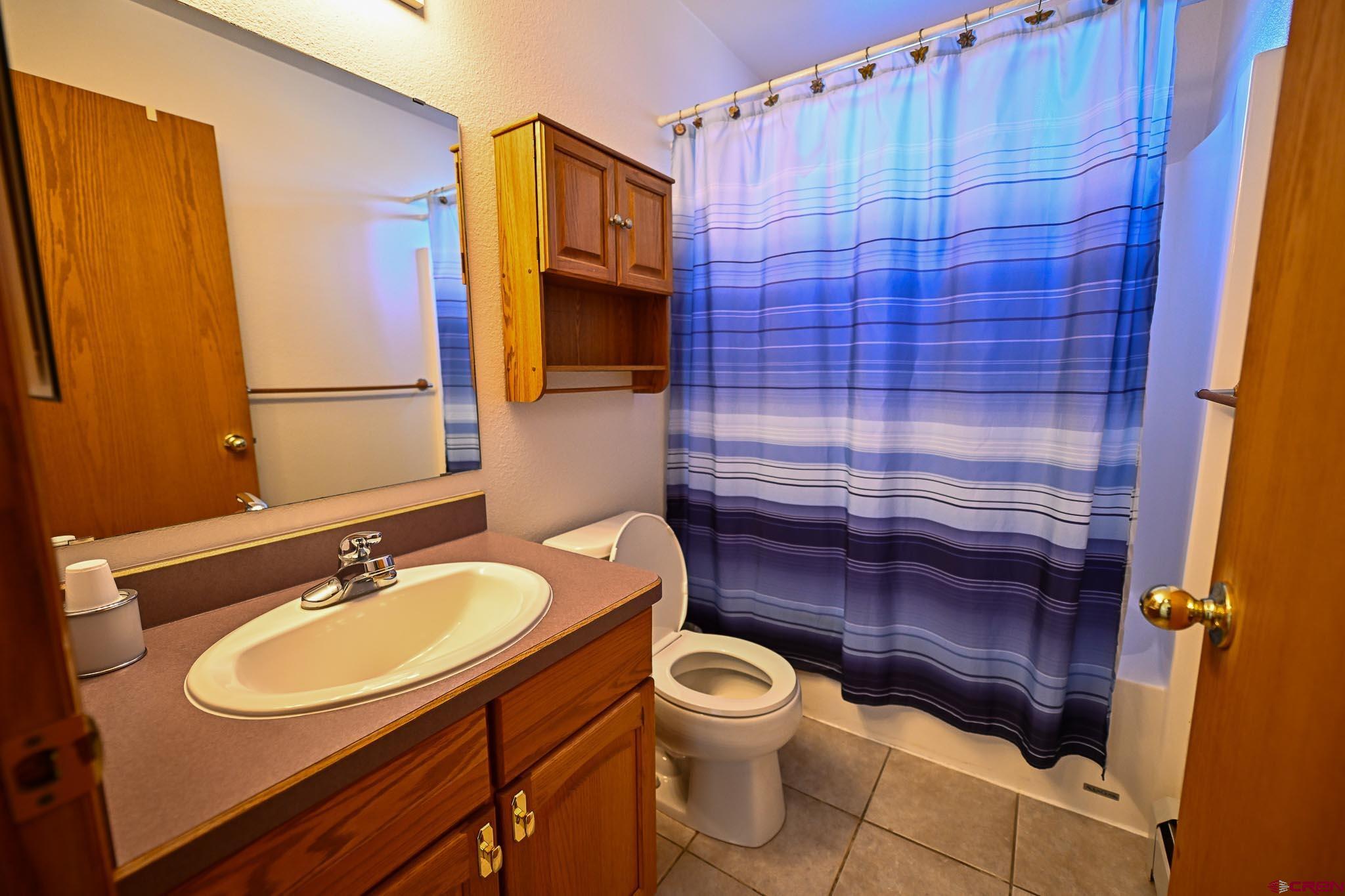 66750 Solar Road Montrose, CO 81403 - Photo 9 of 45 a bathroom with a sink a toilet and shower