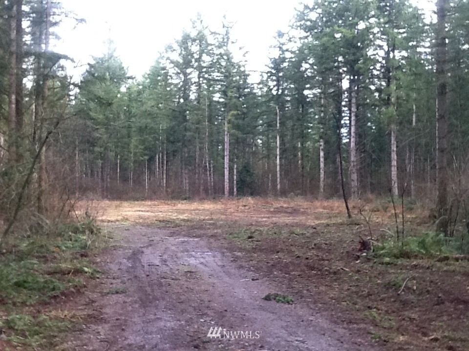 3664 Sorenson Road Everson, WA 98247 - Photo 1 of 3