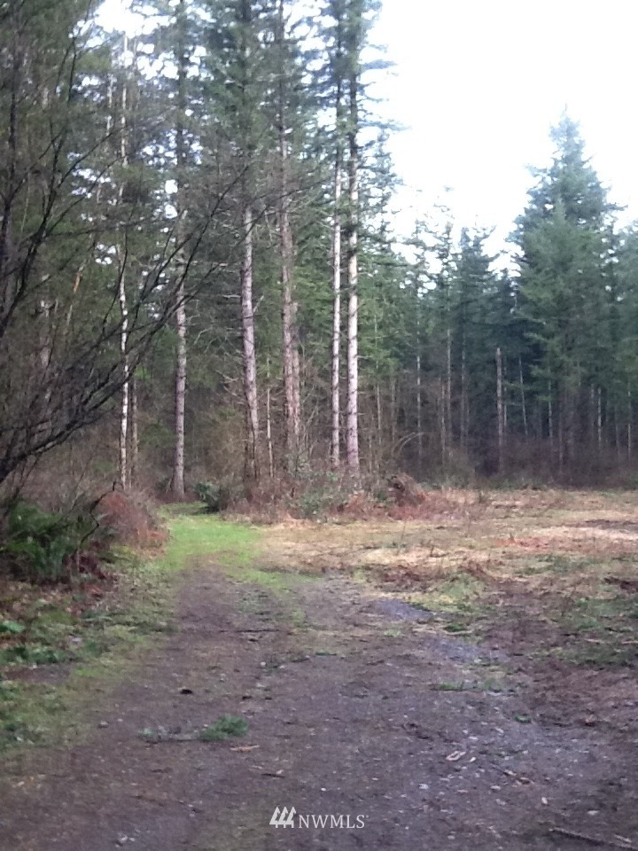 3664 Sorenson Road Everson, WA 98247 - Photo 2 of 3