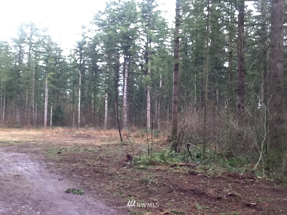 3664 Sorenson Road Everson, WA 98247 - Photo 3 of 3