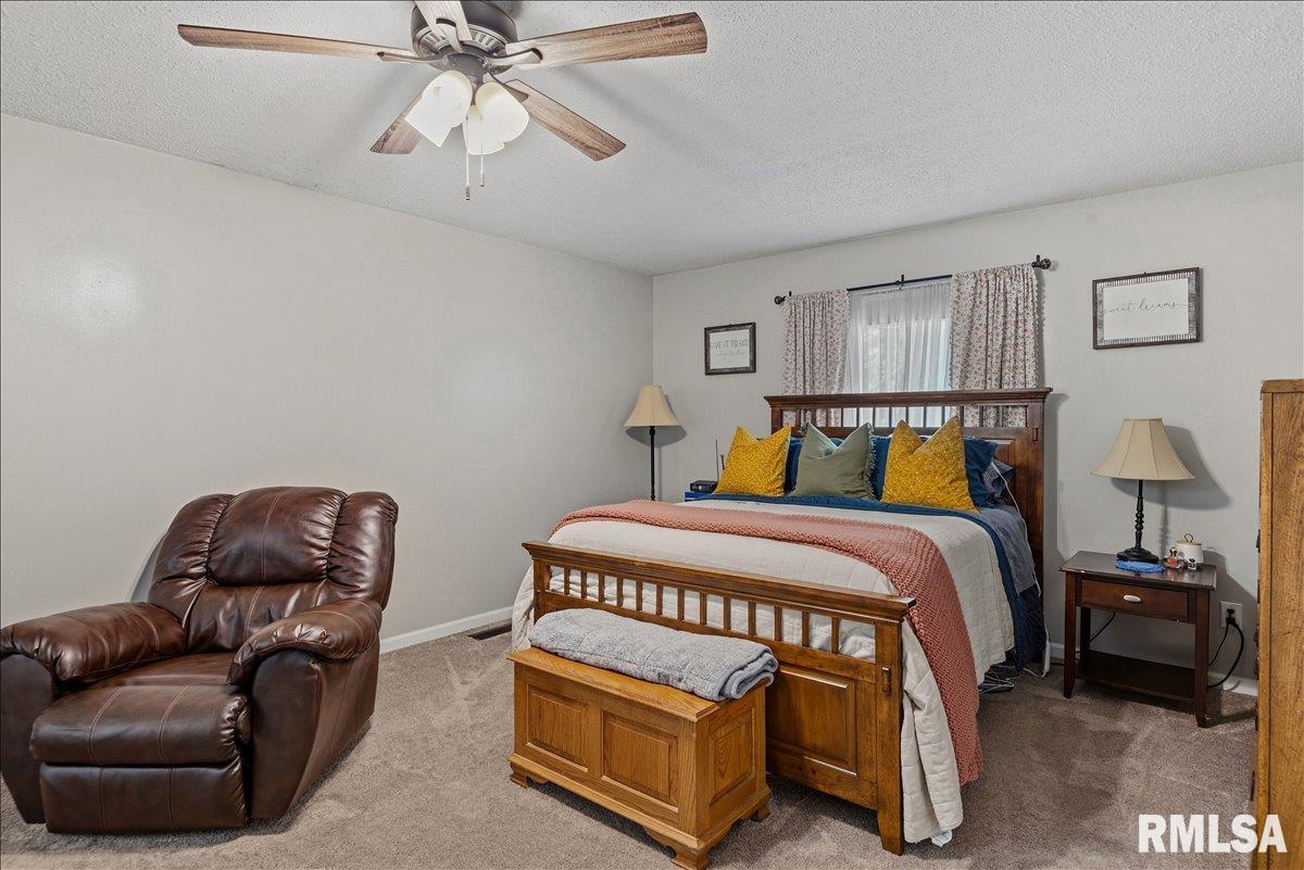 8101 Tack Lane Springfield, IL 62712 - Photo 16 of 30