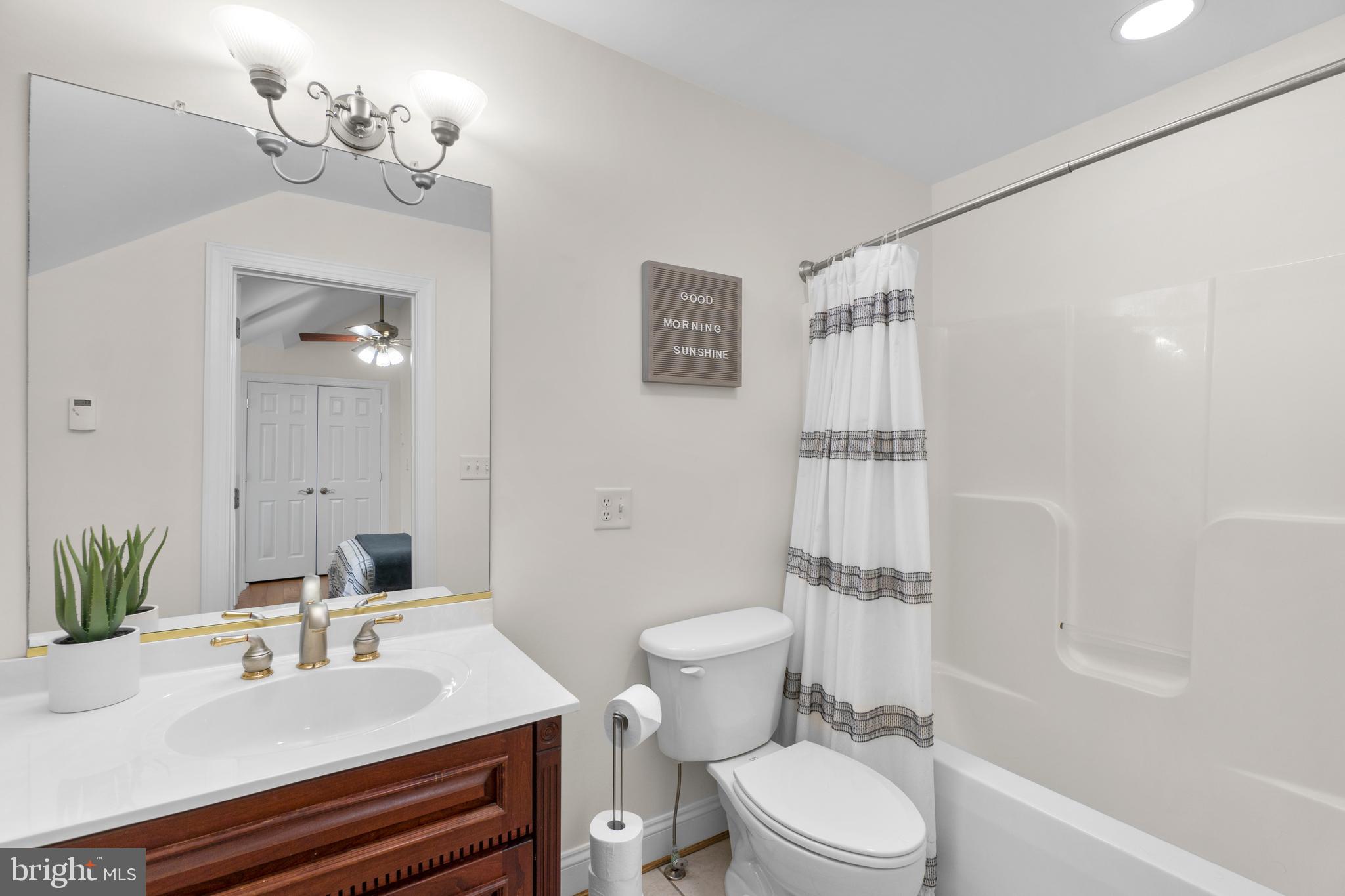 21877 Boonsboro Mountain Road Boonsboro, MD 21713 - Photo 45 of 63 a bathroom with a sink a toilet a mirror and shower