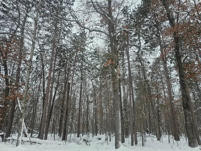 $24,500 | Lot 6 Long Lake Road, Danbury, WI 54830