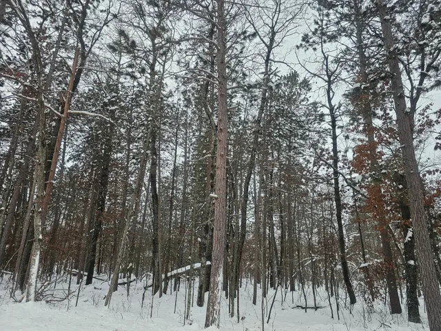 $24,500 | Lot 6 Long Lake Road, Danbury, WI 54830