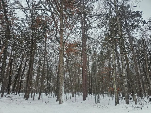 $24,500 | Lot 6 Long Lake Road, Danbury, WI 54830