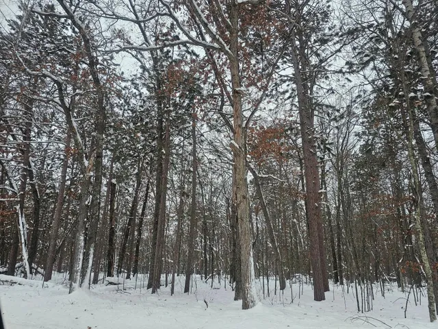 $24,500 | Lot 6 Long Lake Road, Danbury, WI 54830