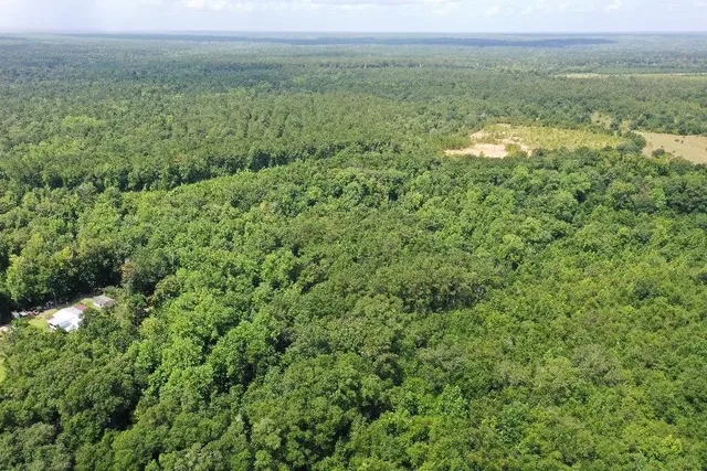 $79,000 | Xx South Lanier Road, Havana, FL 32333