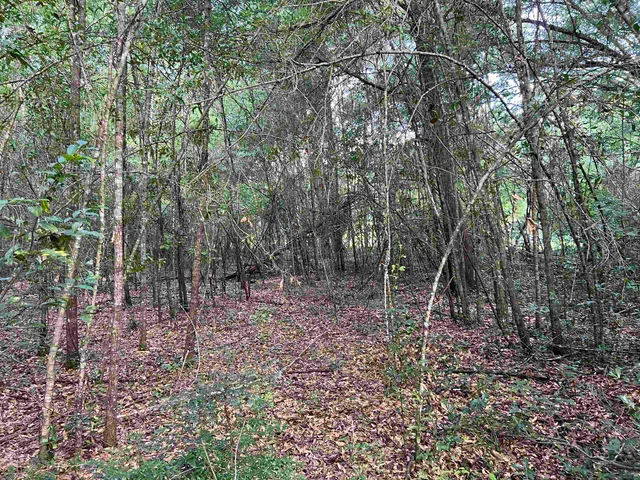 $79,000 | Xx South Lanier Road, Havana, FL 32333