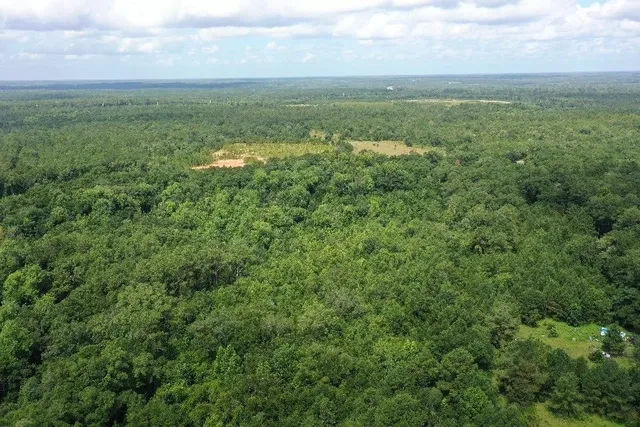 $79,000 | Xx South Lanier Road, Havana, FL 32333