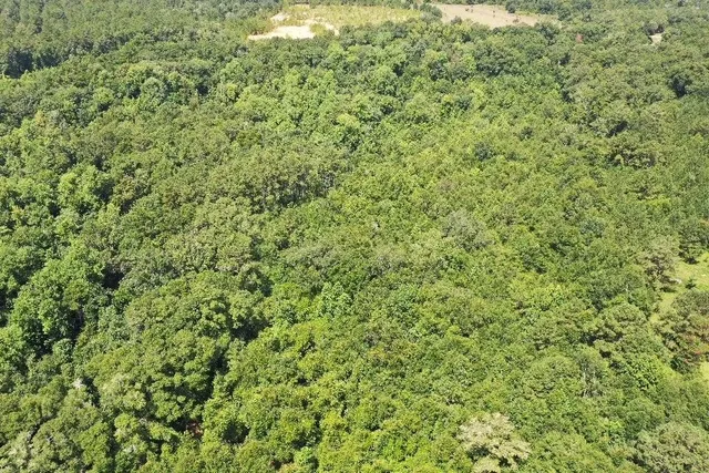 $79,000 | Xx South Lanier Road, Havana, FL 32333