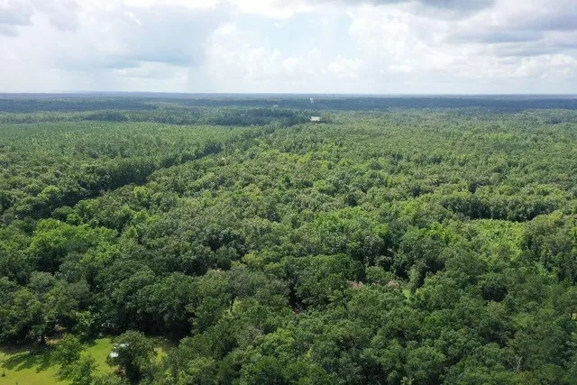 $79,000 | Xx South Lanier Road, Havana, FL 32333