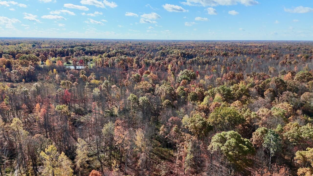 West Beamish Road Sanford, MI 48657 - Photo 21 of 27